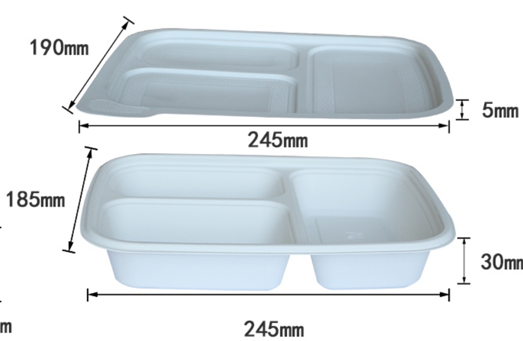 Bio-degradable lunch box from DisposablesInc.com. The best import service in China. Import your disposable items and products from us. 